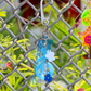 Keychain 14